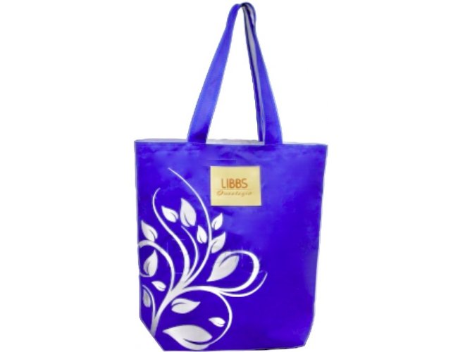 https://www.promarketingdesign.com.br/content/interfaces/cms/userfiles/00278/produtos/11819-slc-sacolas-plasticas-promocionais-promotoras-praia-piscina-inflavel-ecobags-bags-ecologicas-394.jpg