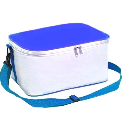 Bolsa trmica personalizada em PVC/LAM